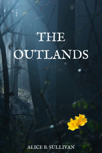 The Outlands