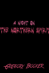 A night on The Northern spirit.