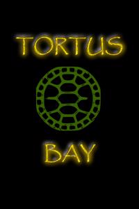 Tortus Bay