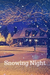 Snowing Night