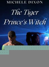 The Tiger Prince&#x27;s Witch